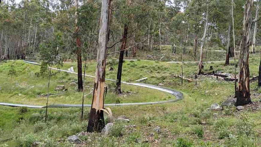Corin Forest, Australia